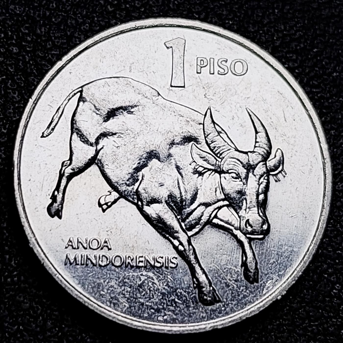 泉币菌-第179场- 精品福利场 。