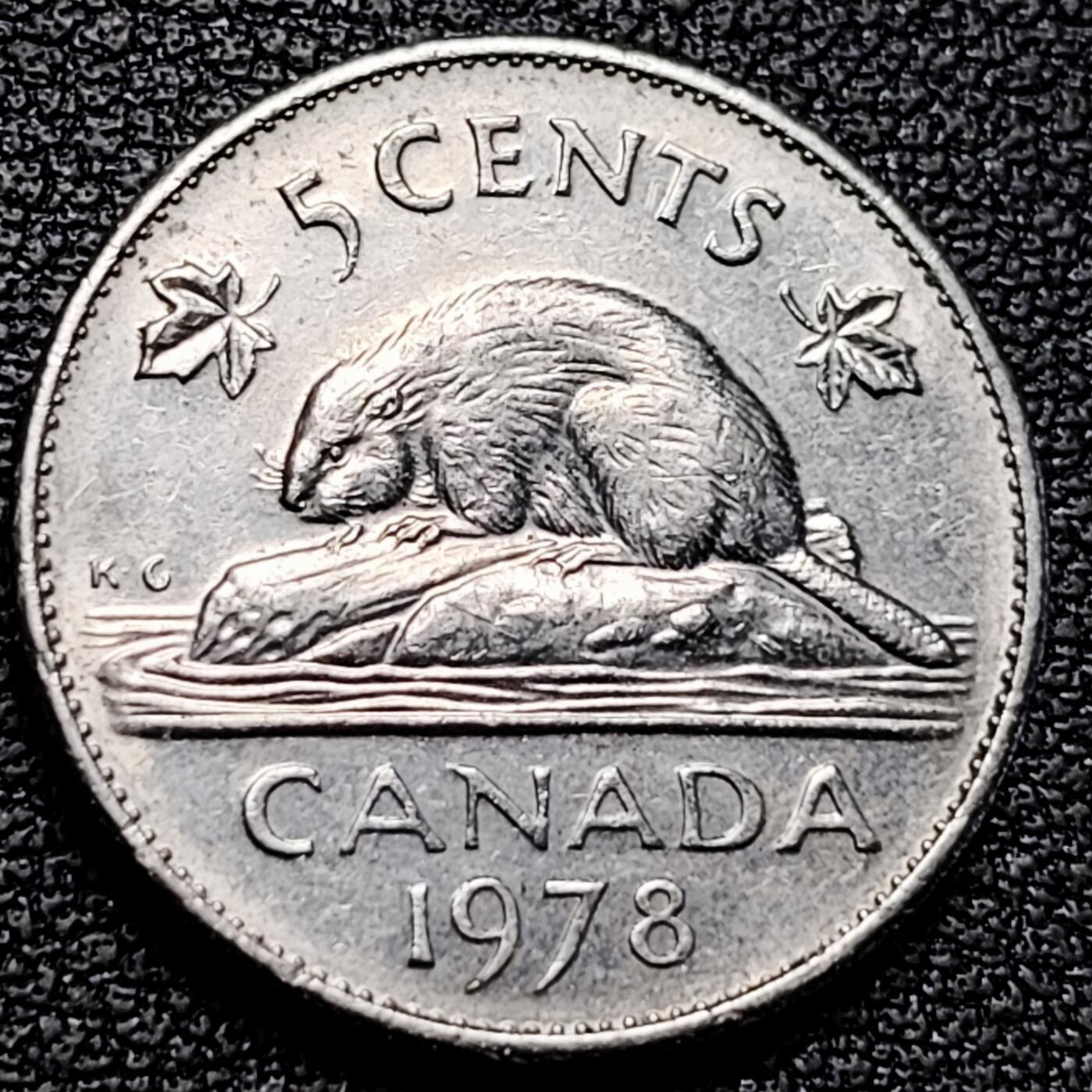 泉币菌-第179场- 精品福利场