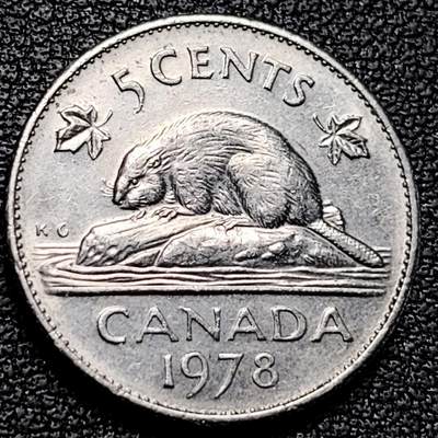 泉币菌-第179场- 精品福利场 - 。