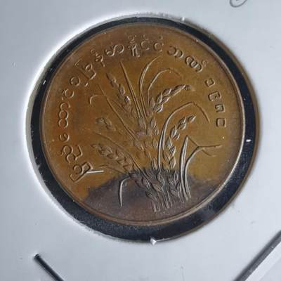 沼泽如烟--第980场 - 缅甸