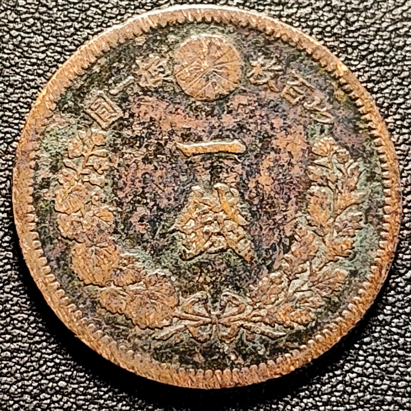 泉币菌-第179场- 精品福利场