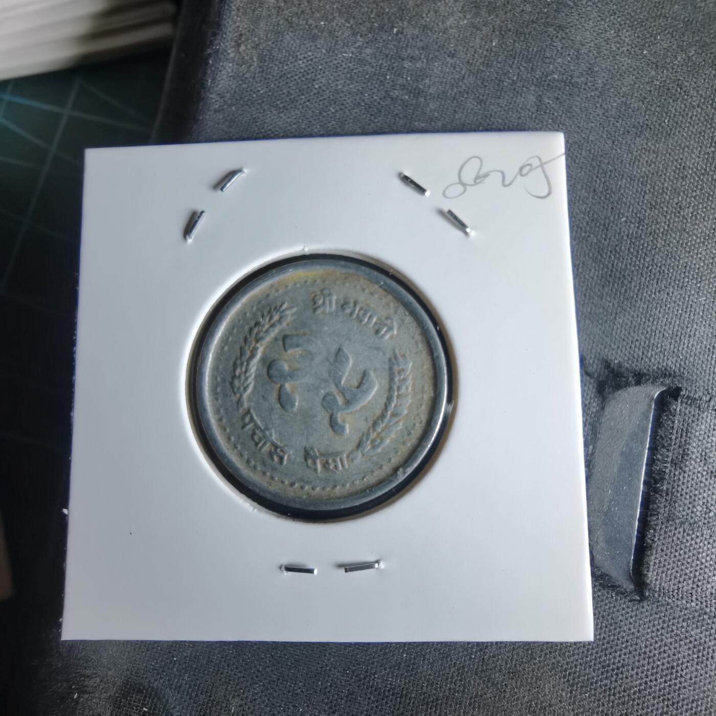 沼泽如烟--第980场