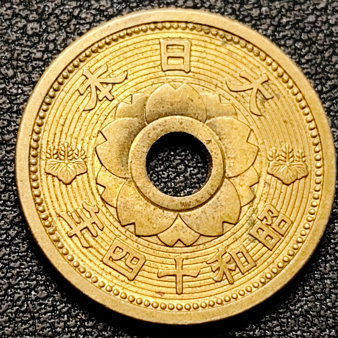 泉币菌-第179场- 精品福利场 。