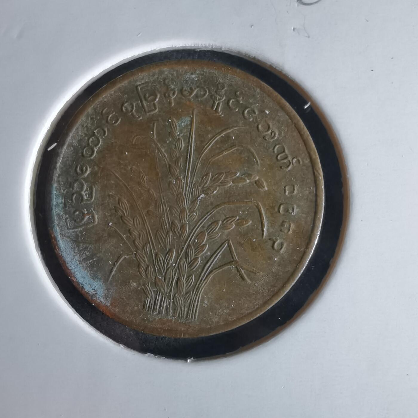 沼泽如烟--第980场