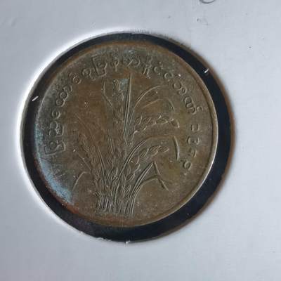 沼泽如烟--第980场 - 缅甸