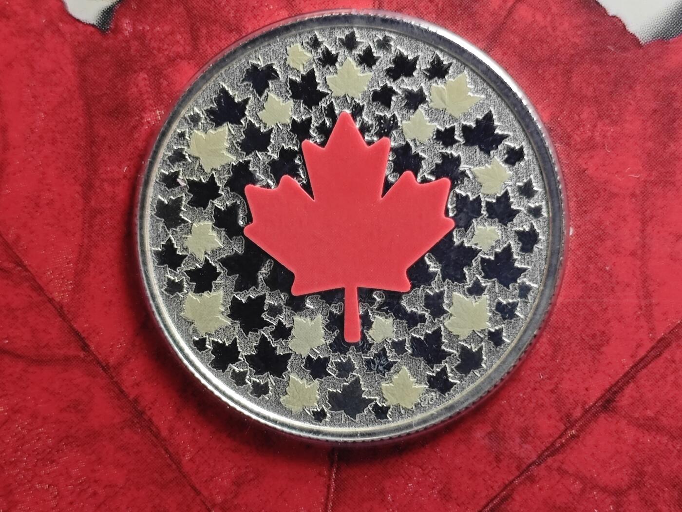 KK钱币收藏小铺  第400期  百期特拍（四拍之四）2月预留时间 周末发货