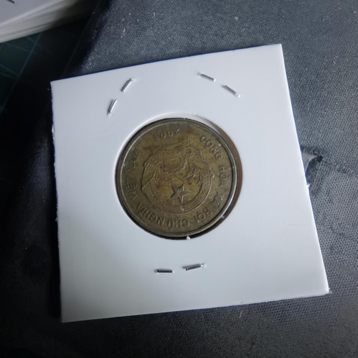 沼泽如烟--第980场