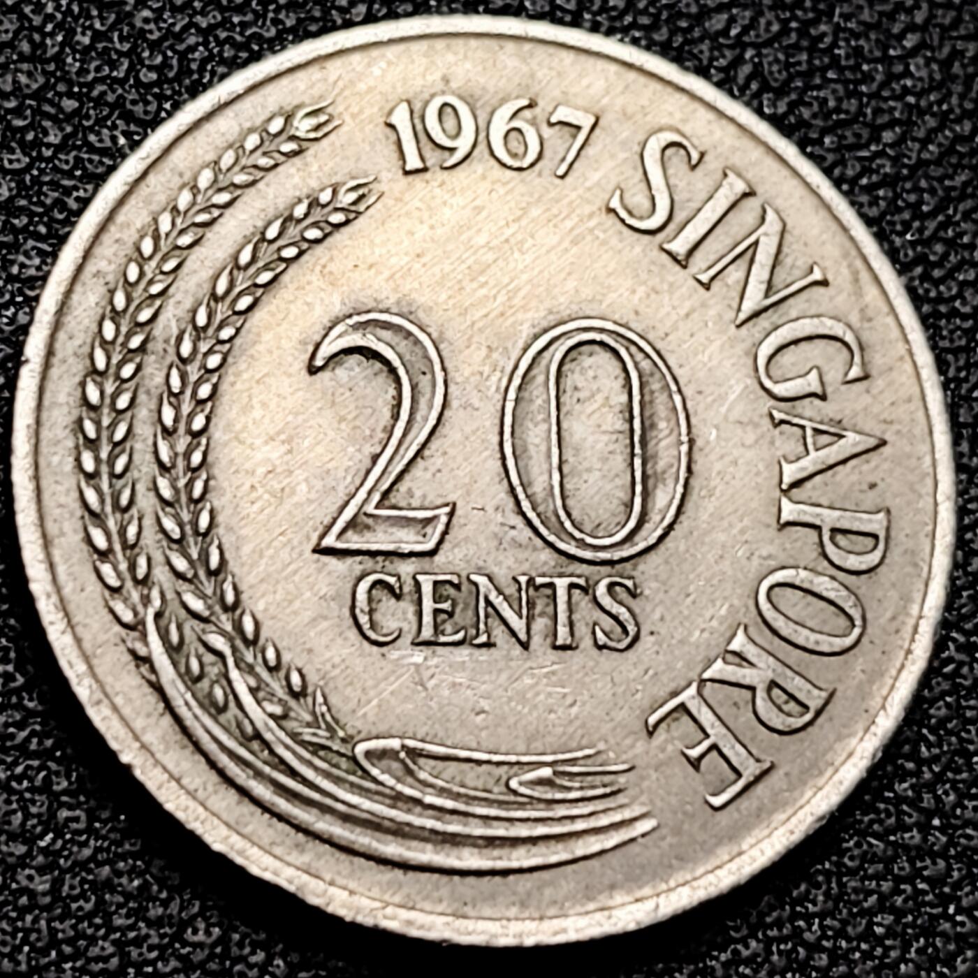 泉币菌-第179场- 精品福利场 。