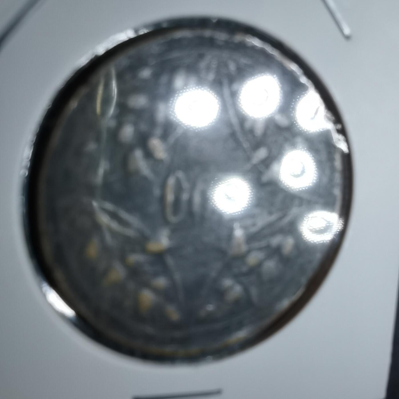 沼泽如烟--第980场