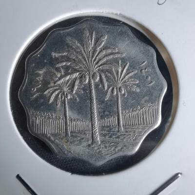 沼泽如烟--第980场 - 伊拉克