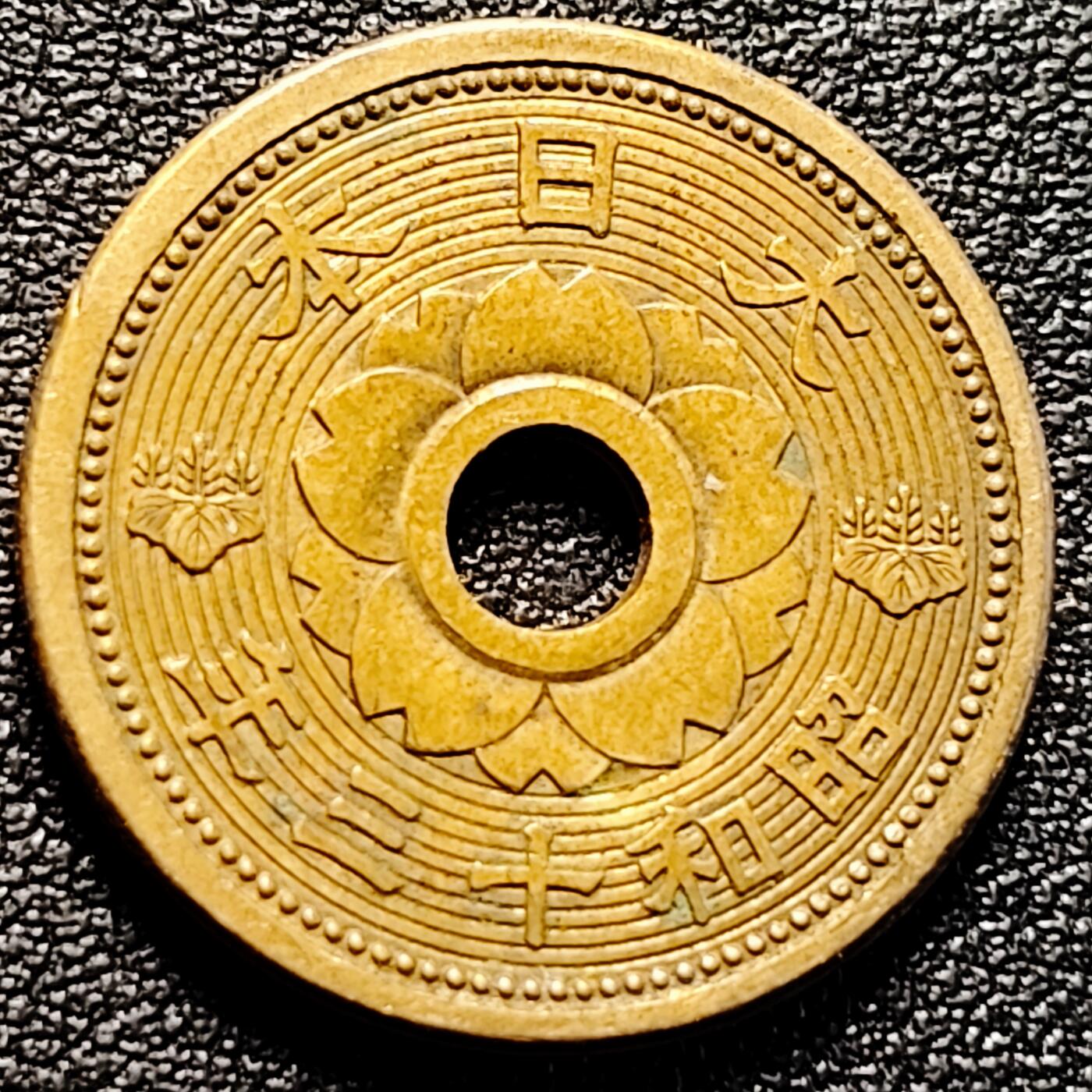 泉币菌-第179场- 精品福利场 。