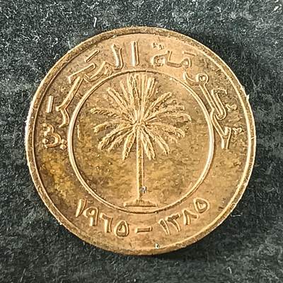 逸泉钱币2026第十四场世界各国散币纪念币A1214-1613 - 1529 巴林10费尔