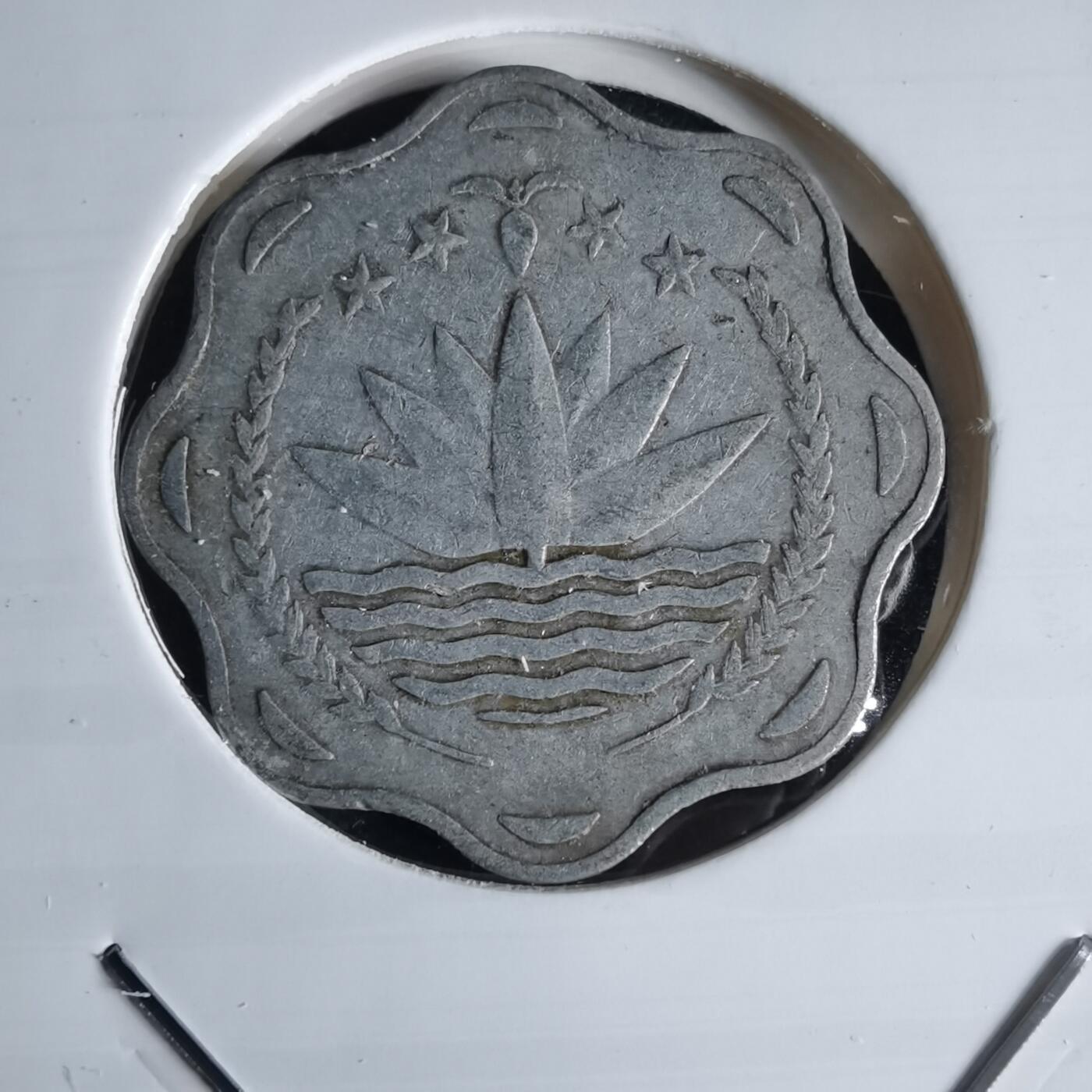 沼泽如烟--第980场