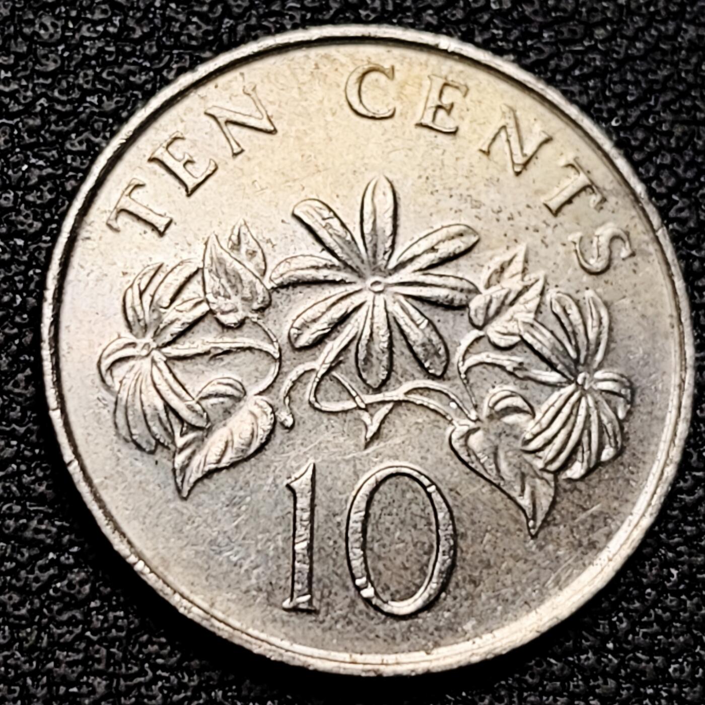 泉币菌-第179场- 精品福利场 。