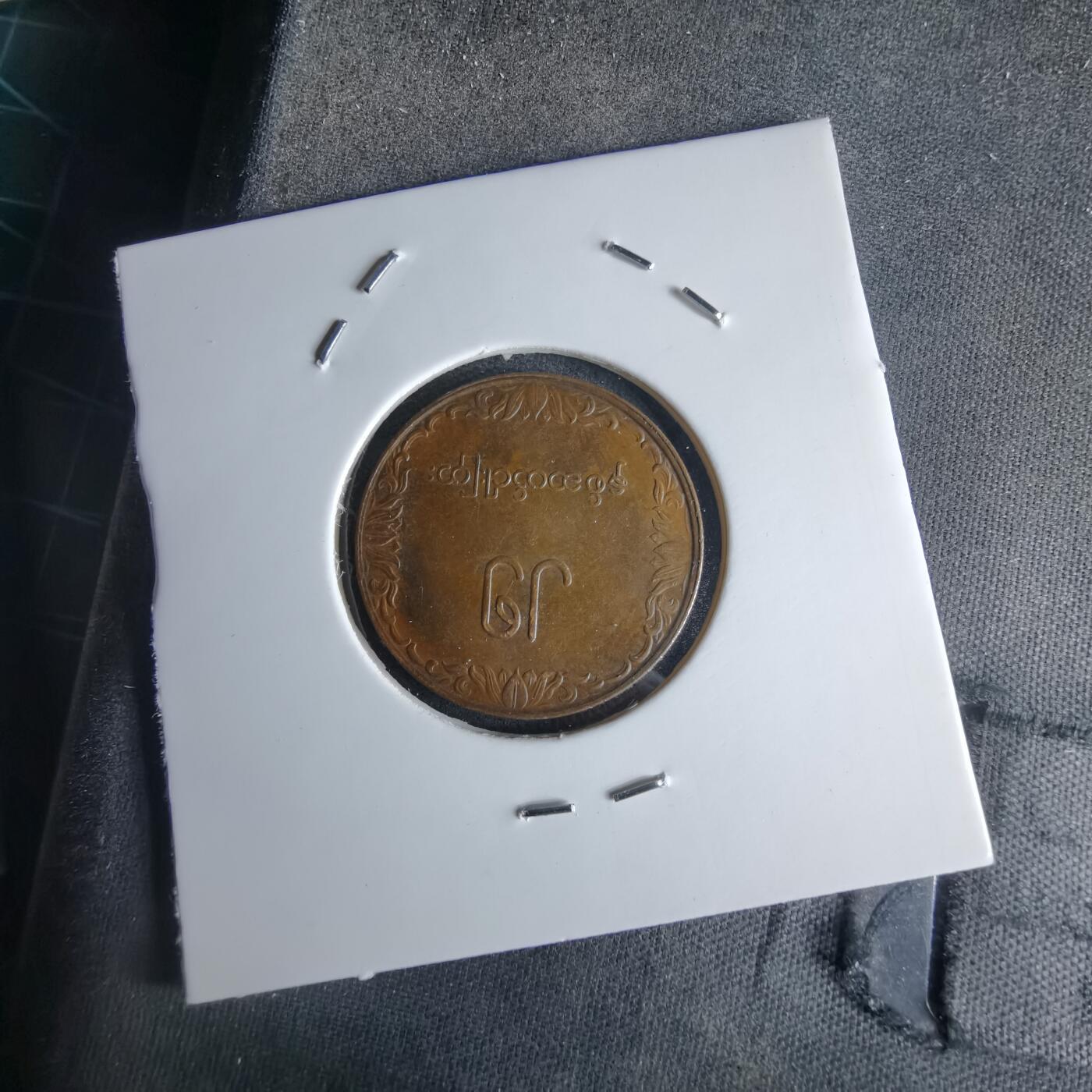 沼泽如烟--第980场