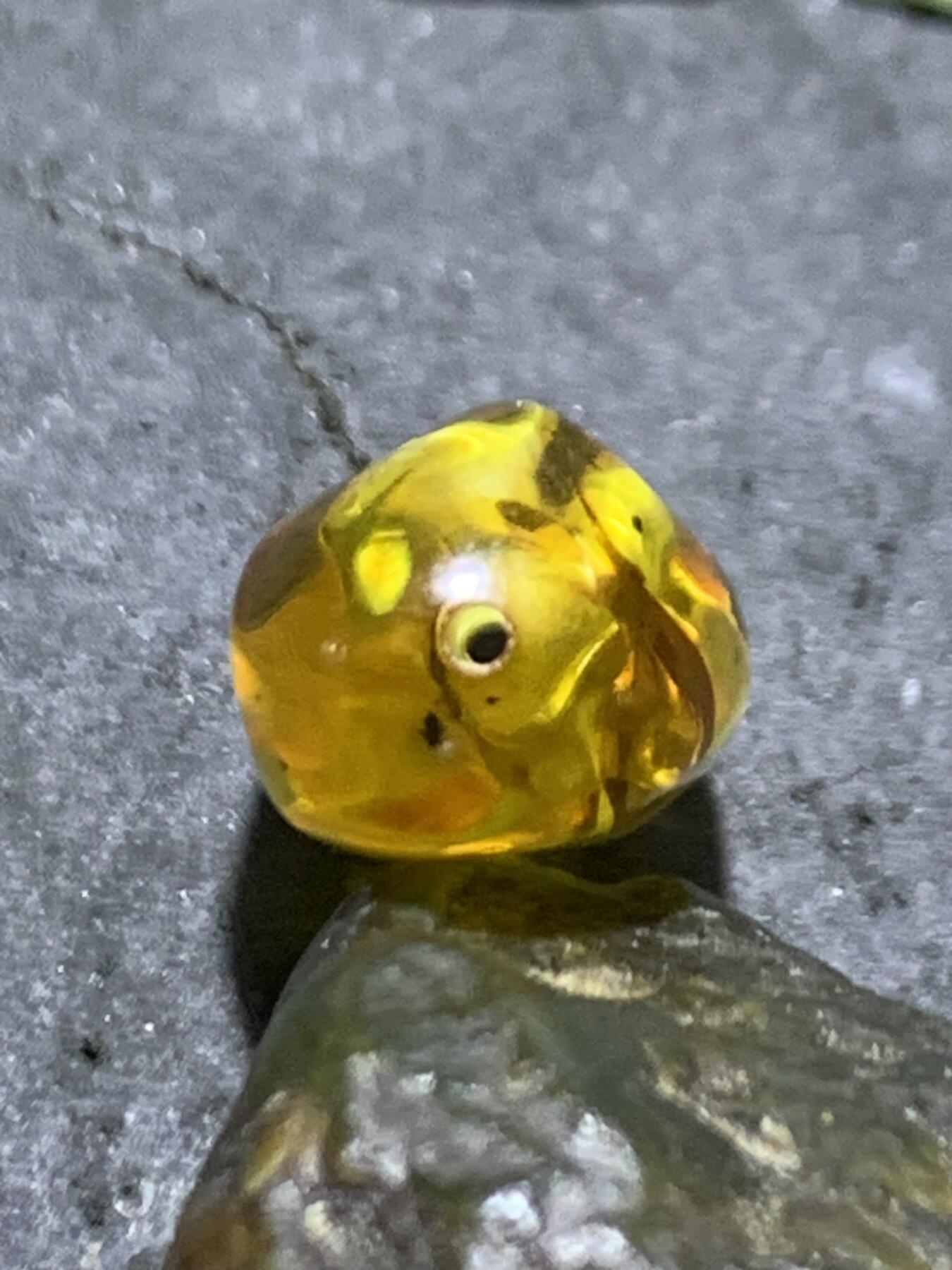 乌克兰花珀随形珠一个，