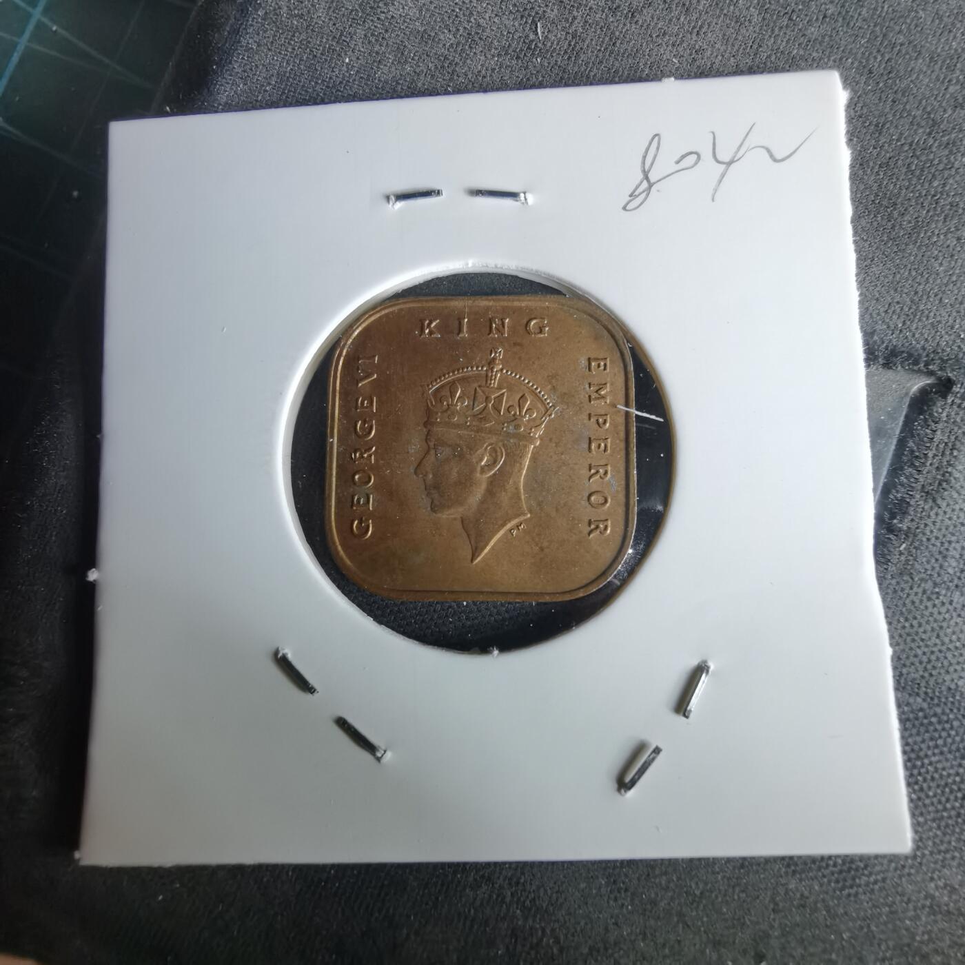 沼泽如烟--第980场