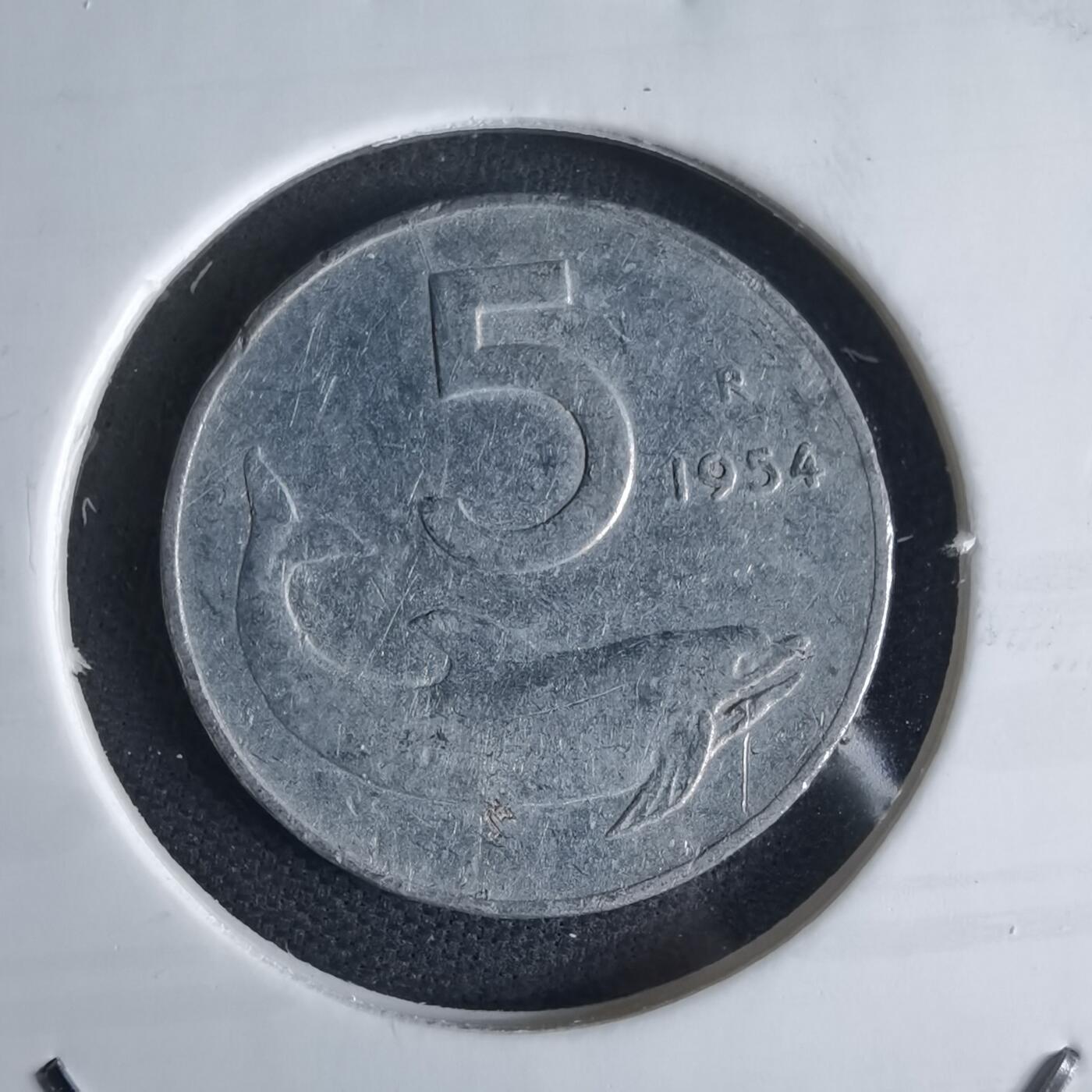 沼泽如烟--第980场