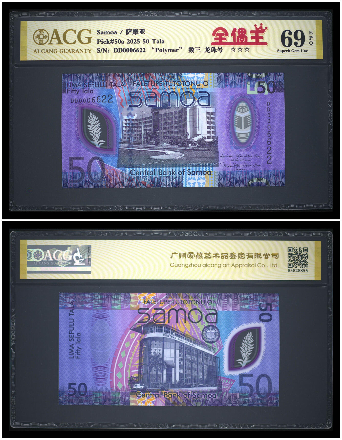 《艾美收藏》第230期-2.1周日外币年前精品场