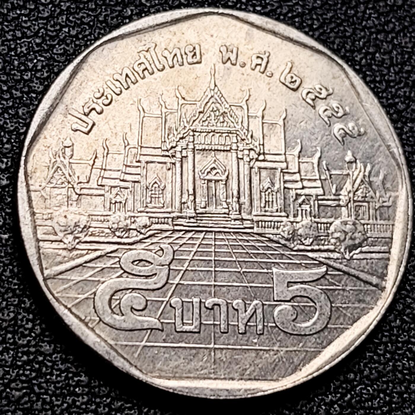 泉币菌-第179场- 精品福利场 。