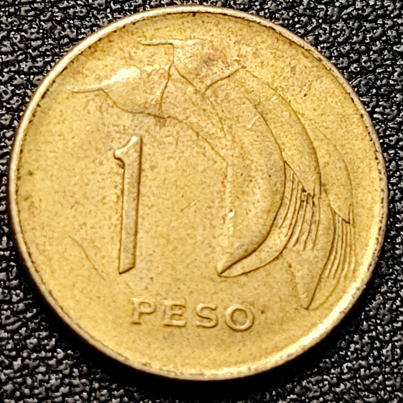 泉币菌-第179场- 精品福利场 。