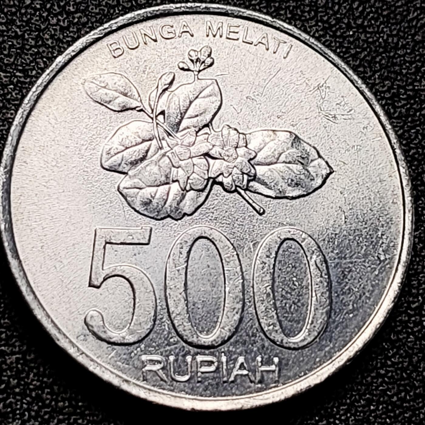 泉币菌-第179场- 精品福利场 。