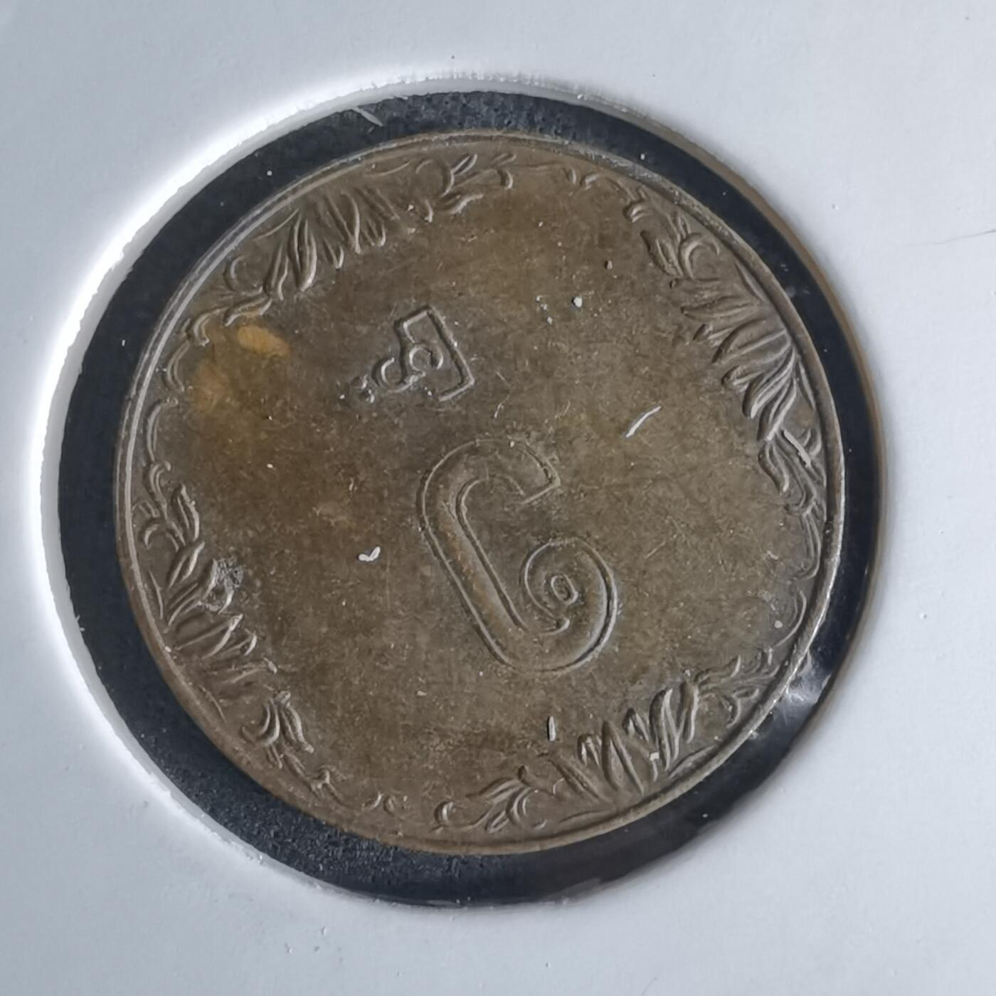 沼泽如烟--第980场