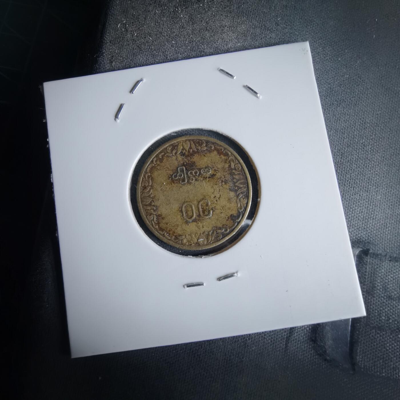 沼泽如烟--第980场