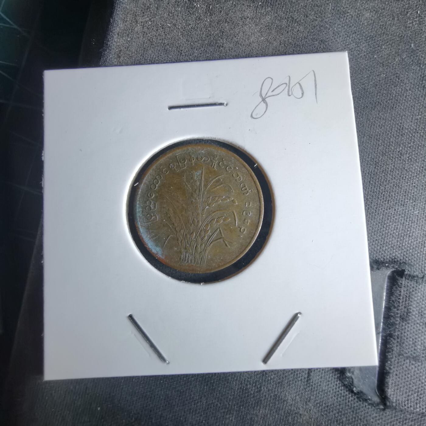 沼泽如烟--第980场