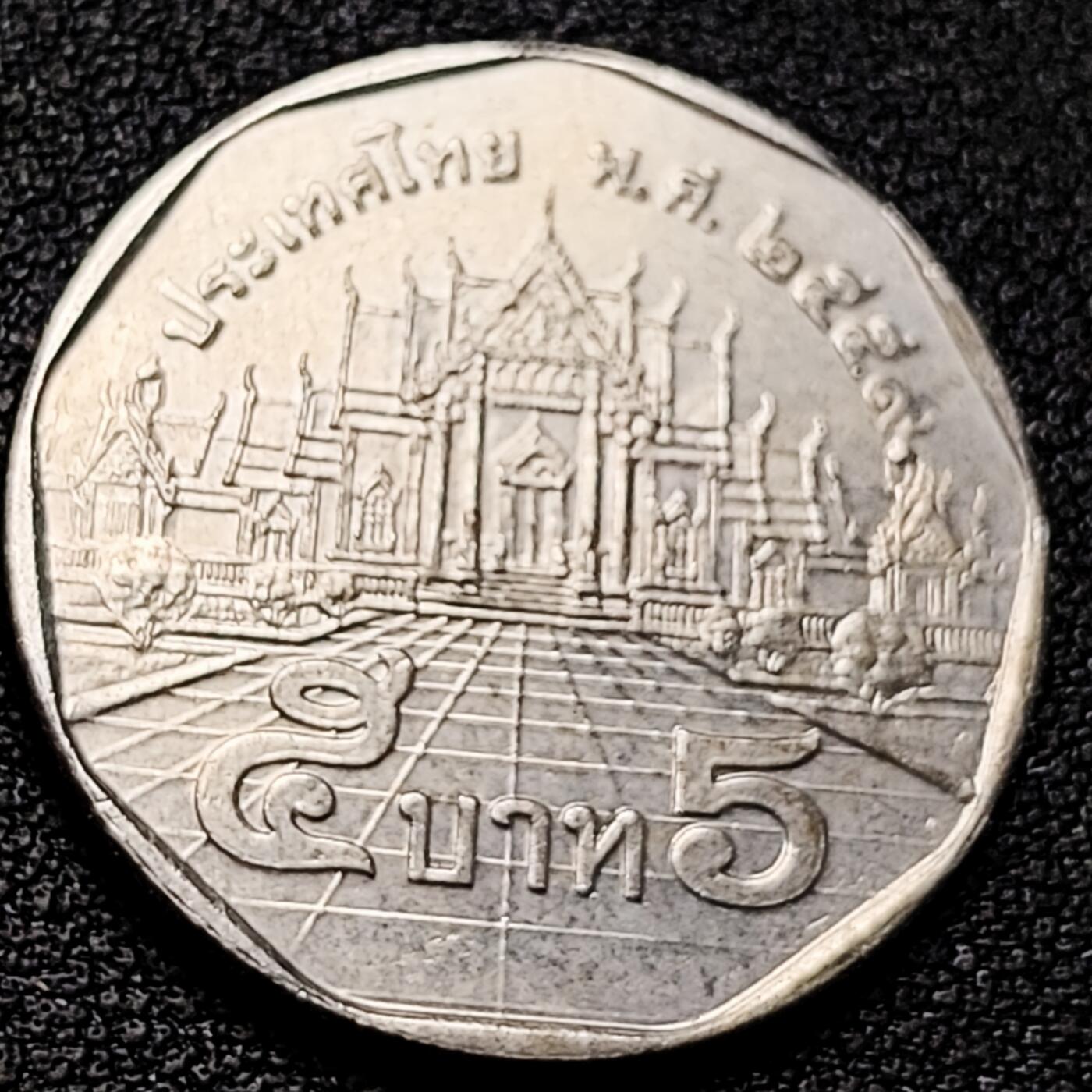 泉币菌-第179场- 精品福利场 。