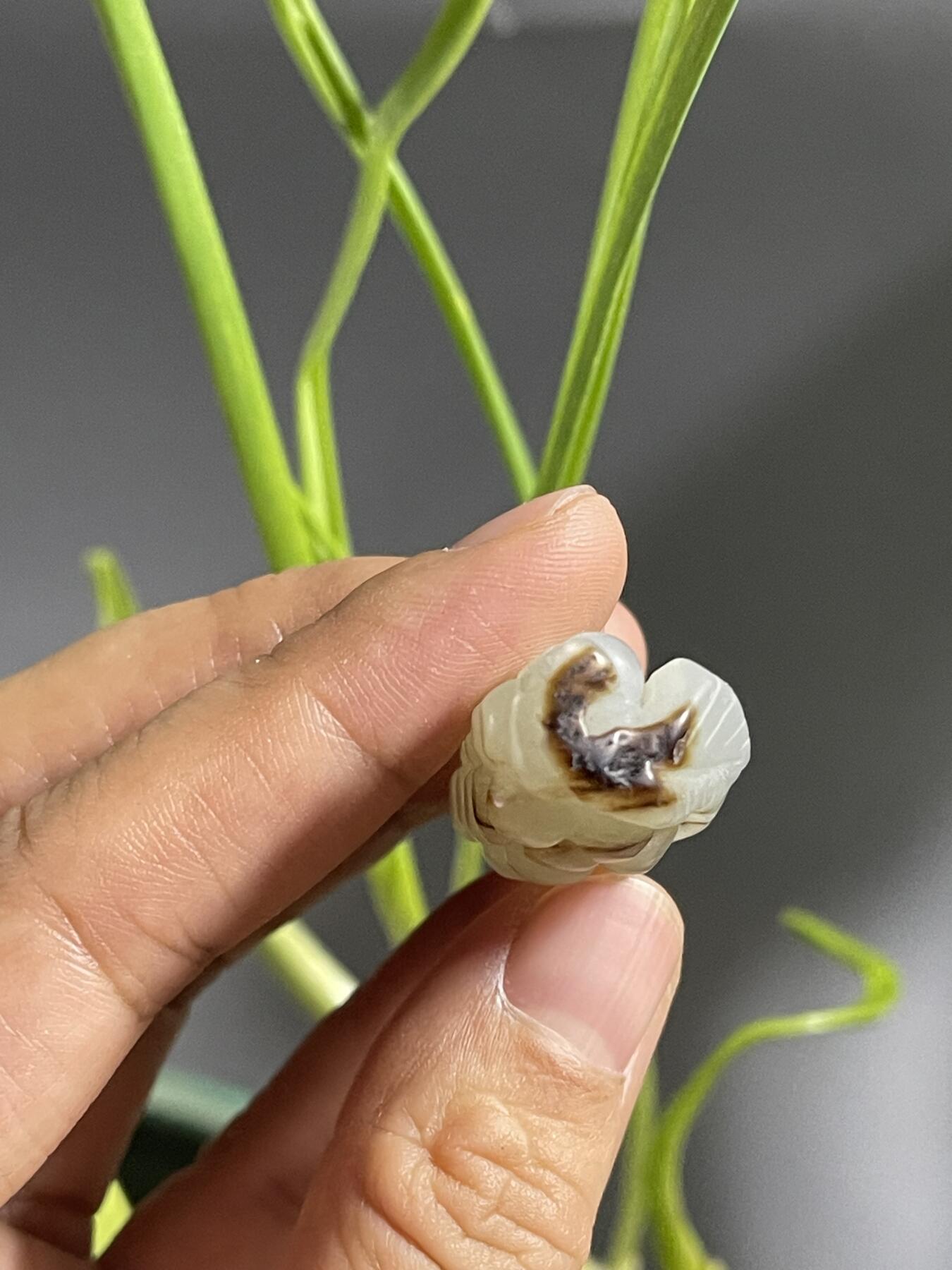 喵了个咪的第二期玉器杂项拍卖