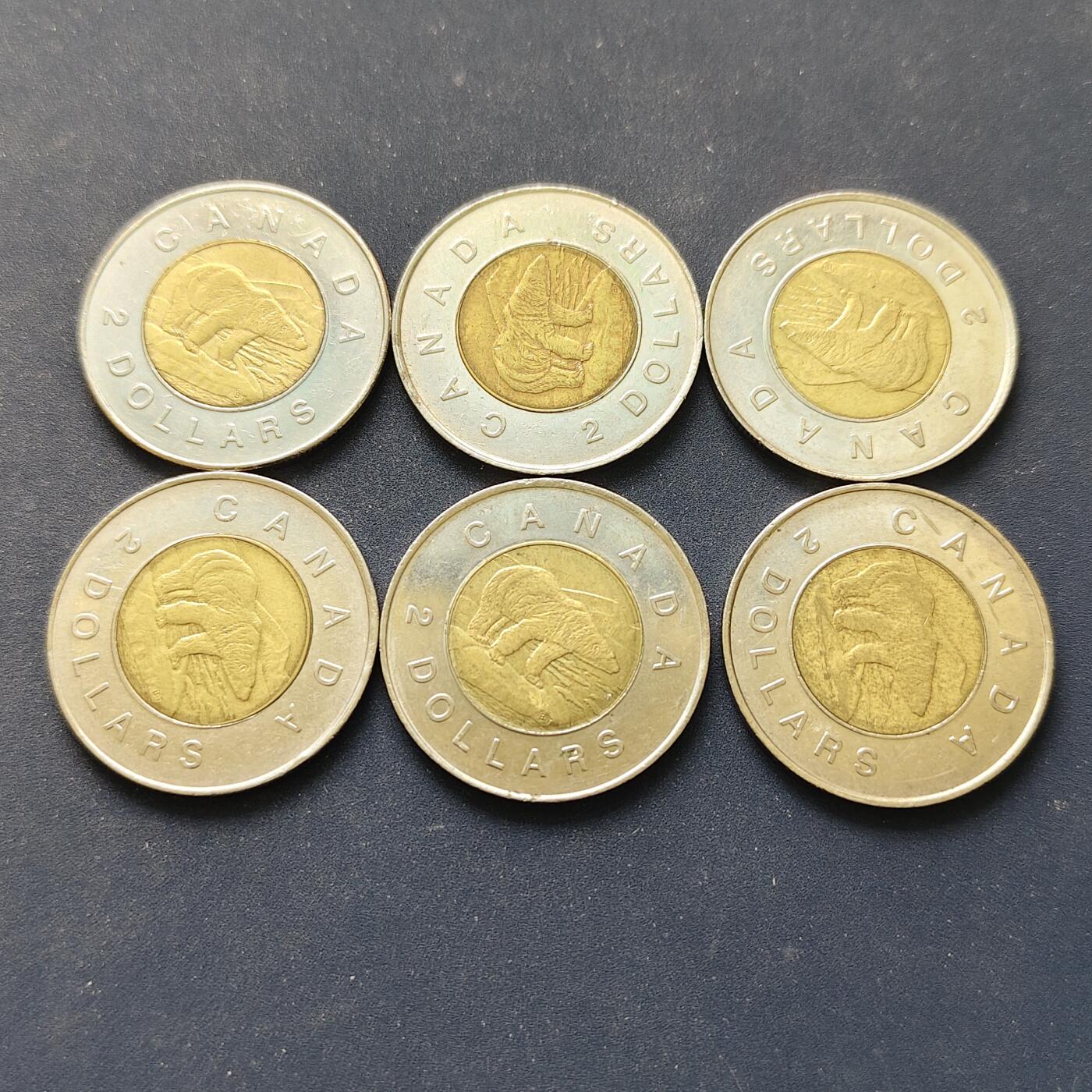 【全场包邮】纯粹捡漏拍498场-持续更新中 加拿大各年份北极熊2元双色币6枚一组