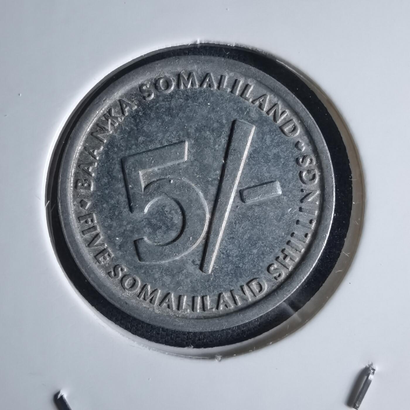 沼泽如烟--第980场