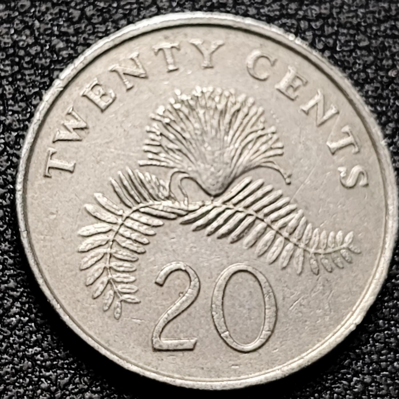 泉币菌-第179场- 精品福利场 。