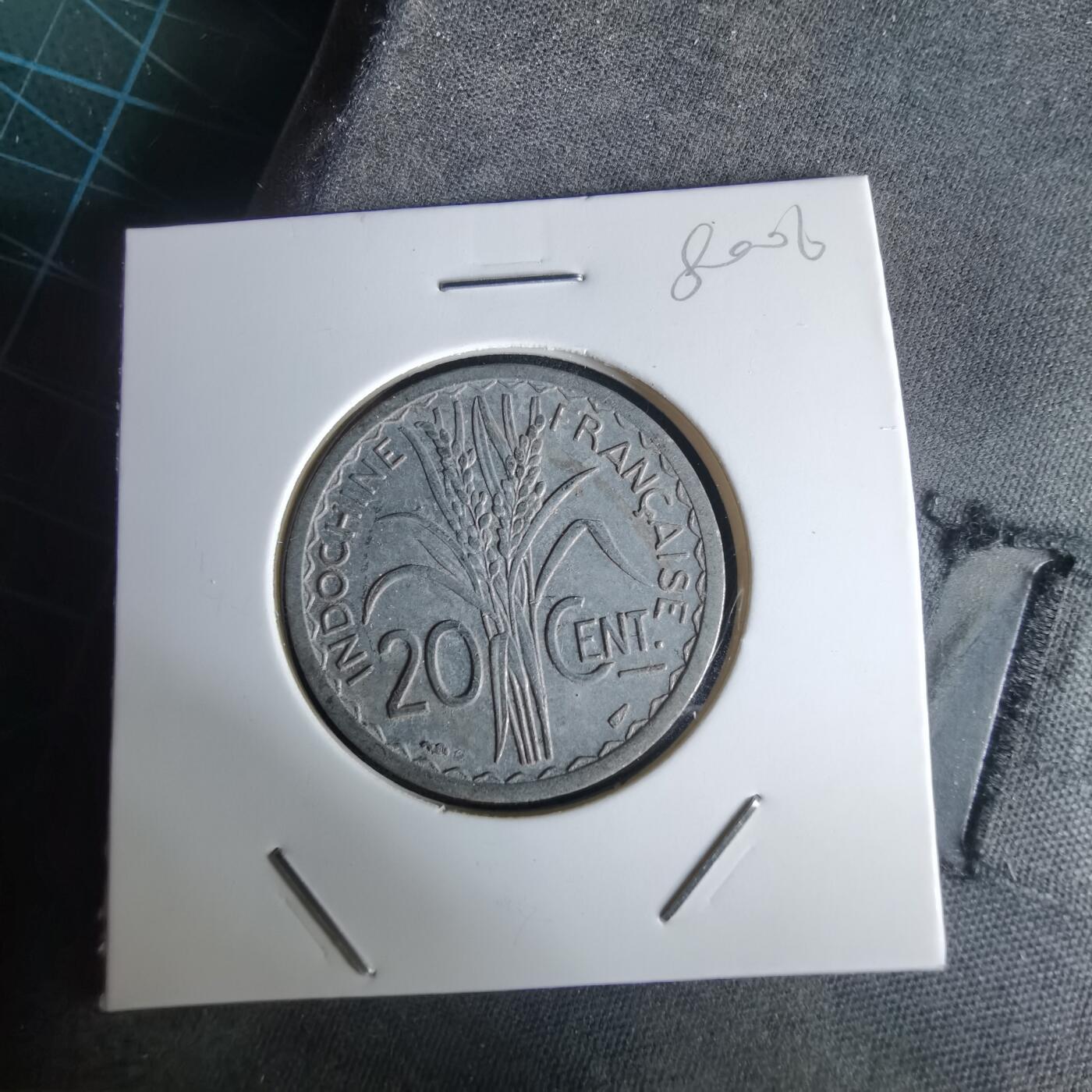 沼泽如烟--第980场