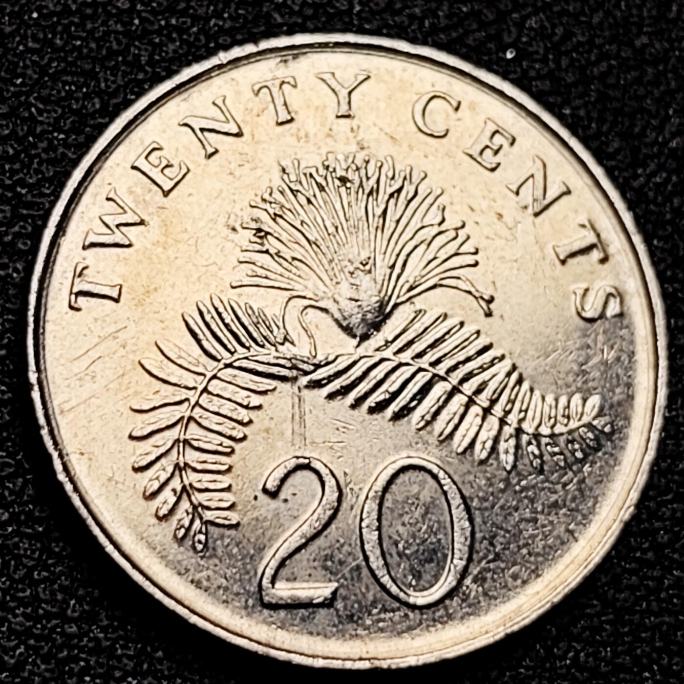 泉币菌-第179场- 精品福利场 。