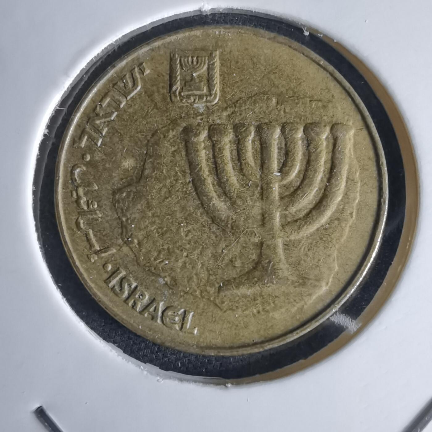 沼泽如烟--第980场