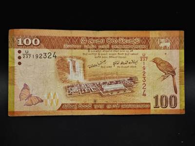 【淘币小摊】实时拍第八百五十六拍   无佣金福利纸币场   满百包邮可预留二周 每周一统一发货   - 斯里兰卡100卢比纸币【有折】