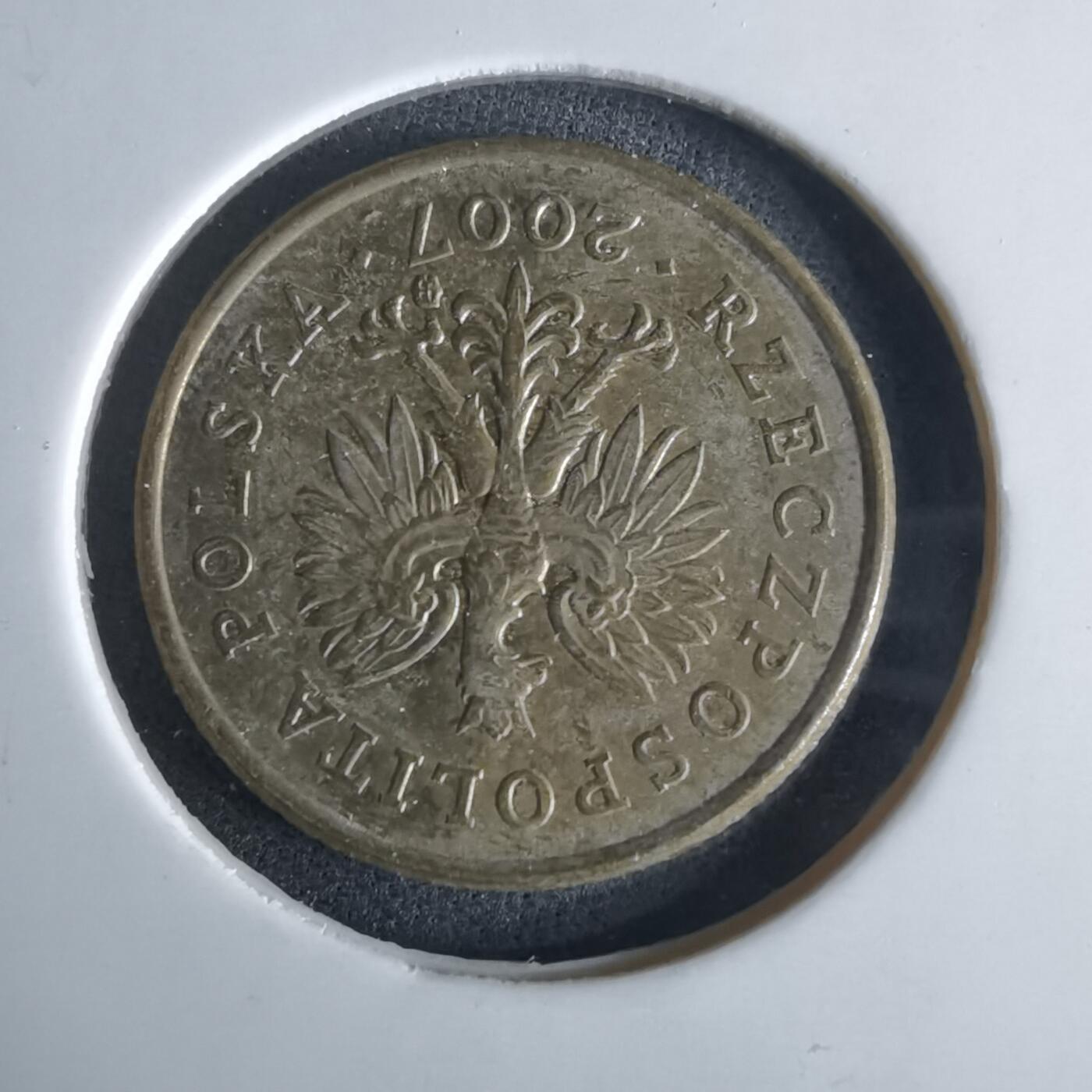 沼泽如烟--第980场 波兰2007年5格罗申