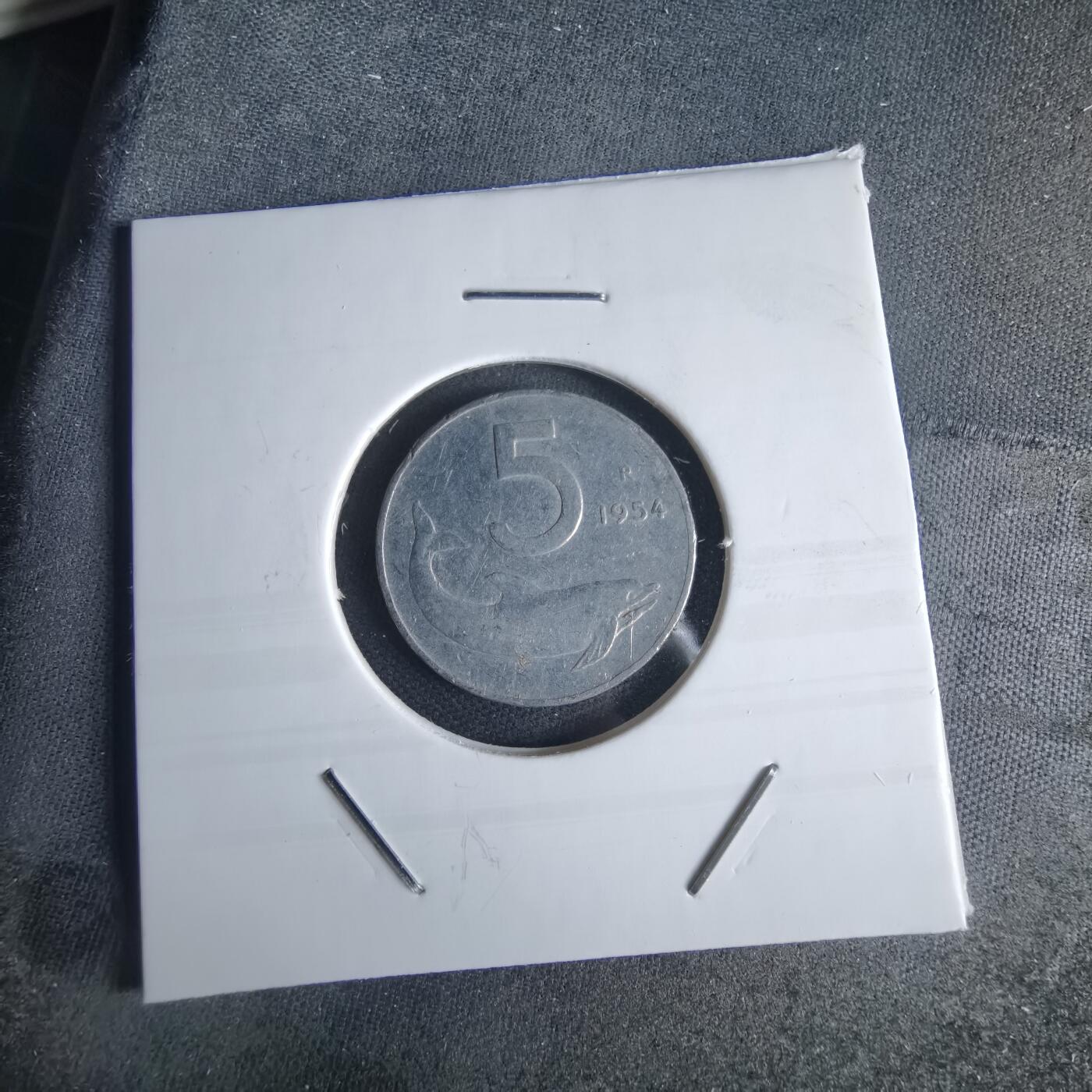 沼泽如烟--第980场