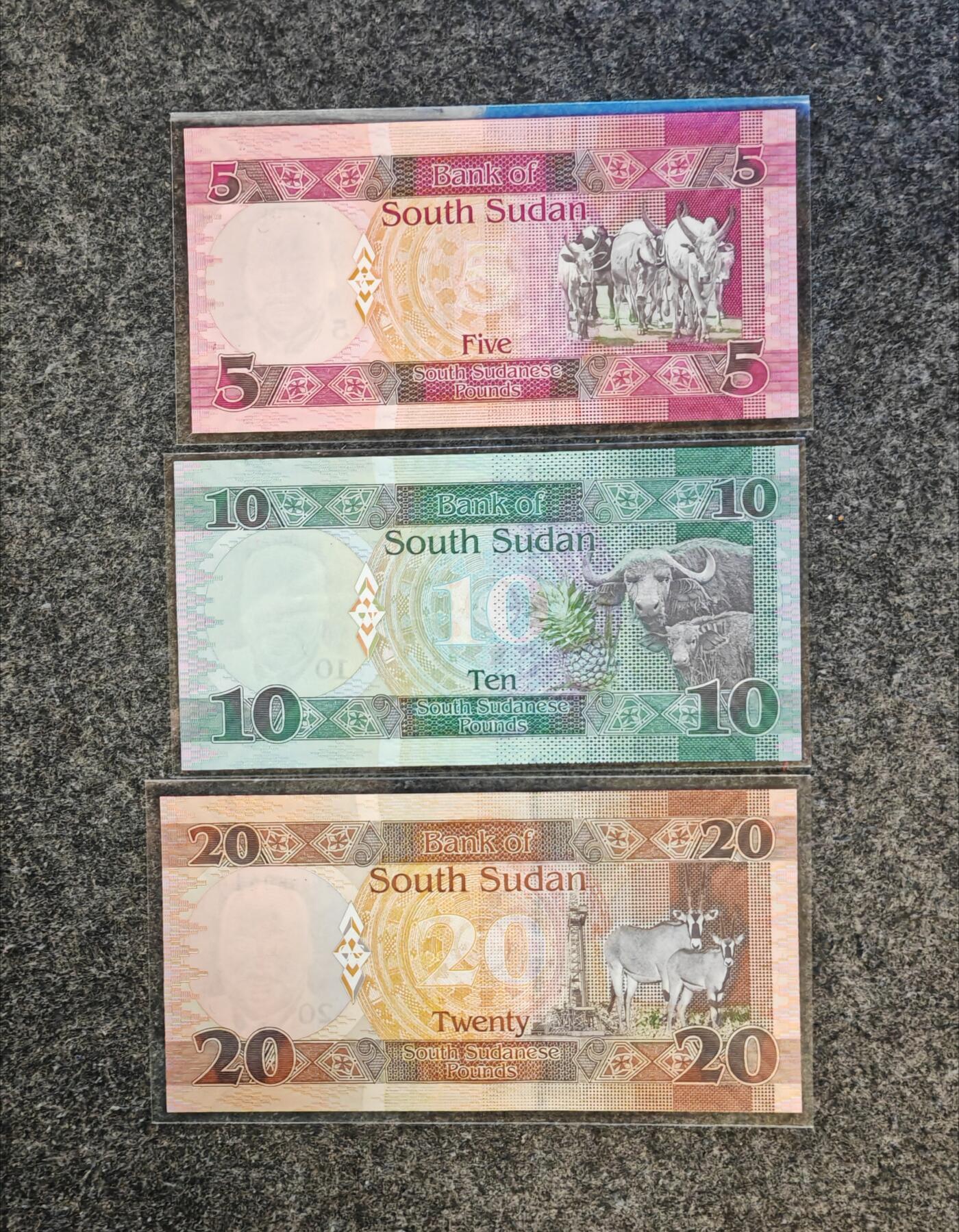 【礼羽收藏】🌏世界钱币拍卖第122期