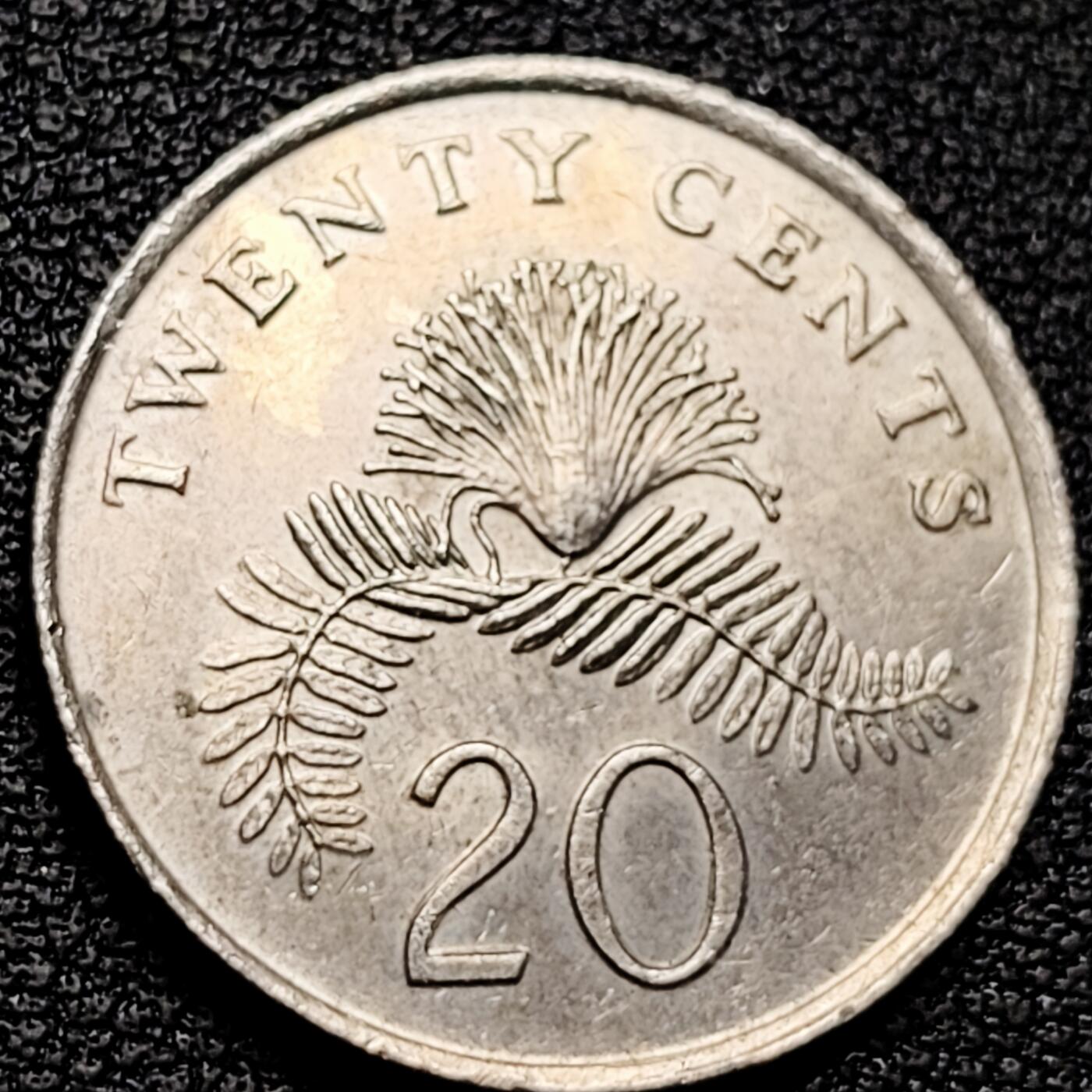 泉币菌-第179场- 精品福利场 。