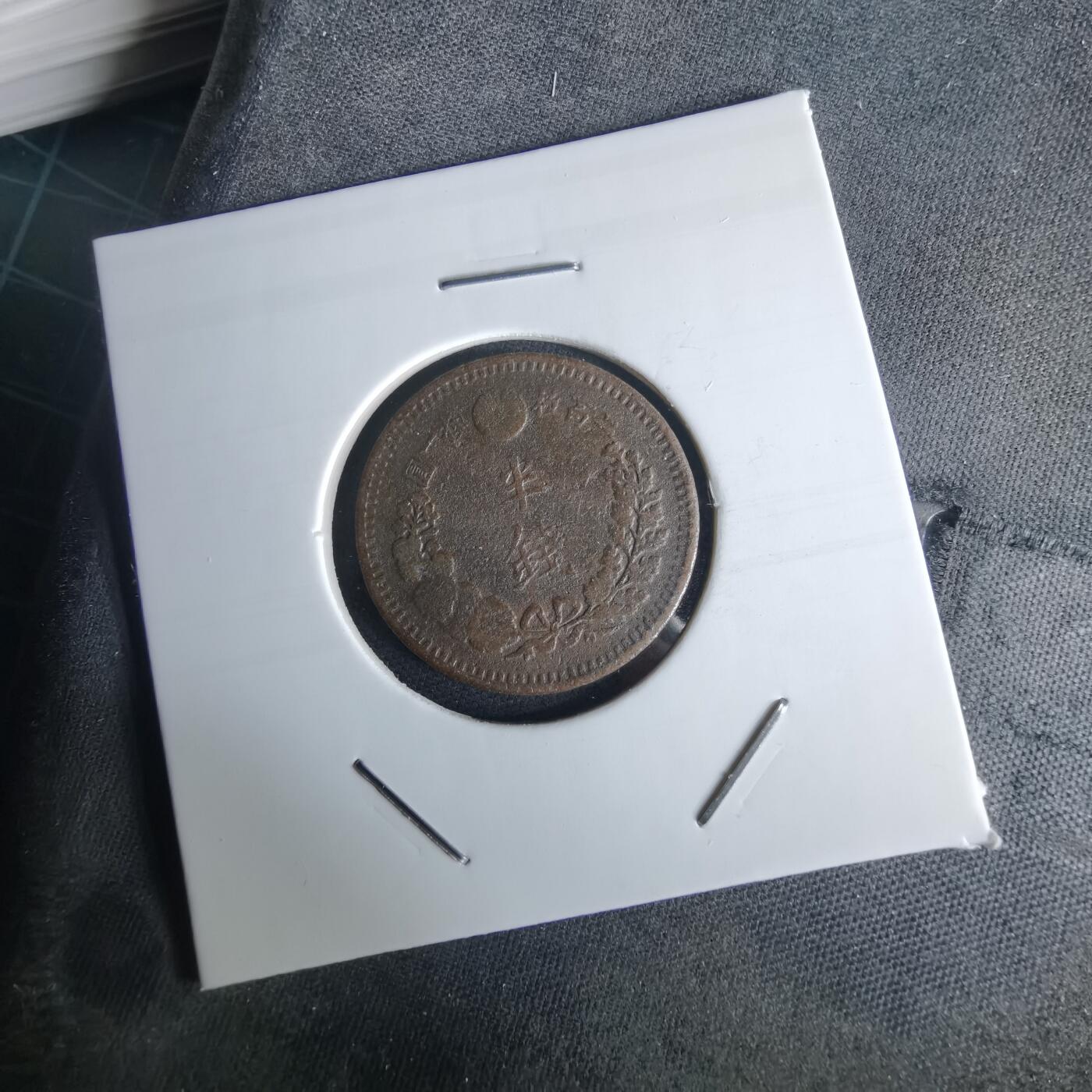 沼泽如烟--第980场