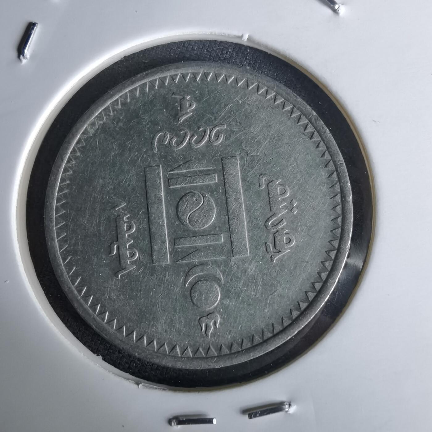 沼泽如烟--第980场