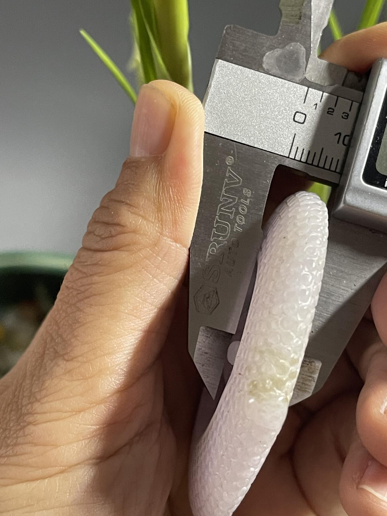 喵了个咪的第二期玉器杂项拍卖 翡翠紫罗兰弥勒佛