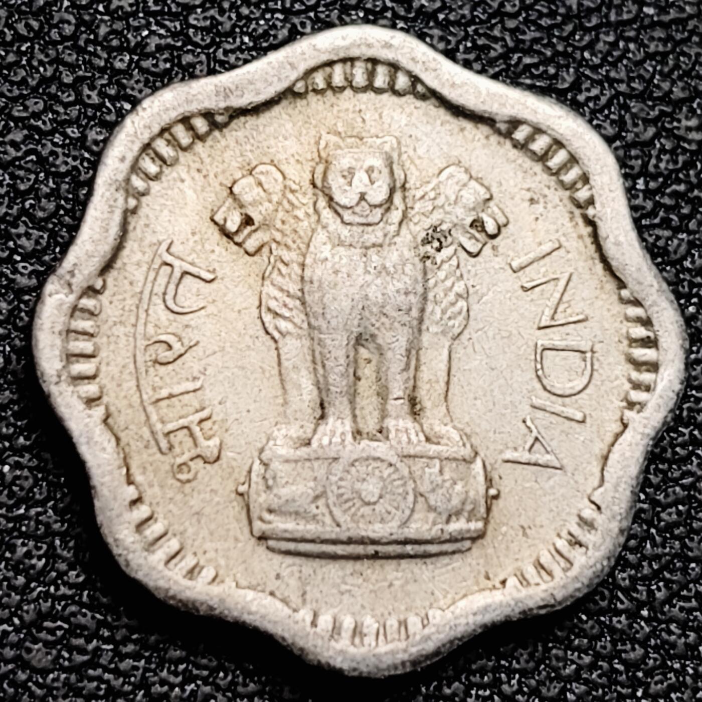 泉币菌-第179场- 精品福利场 。