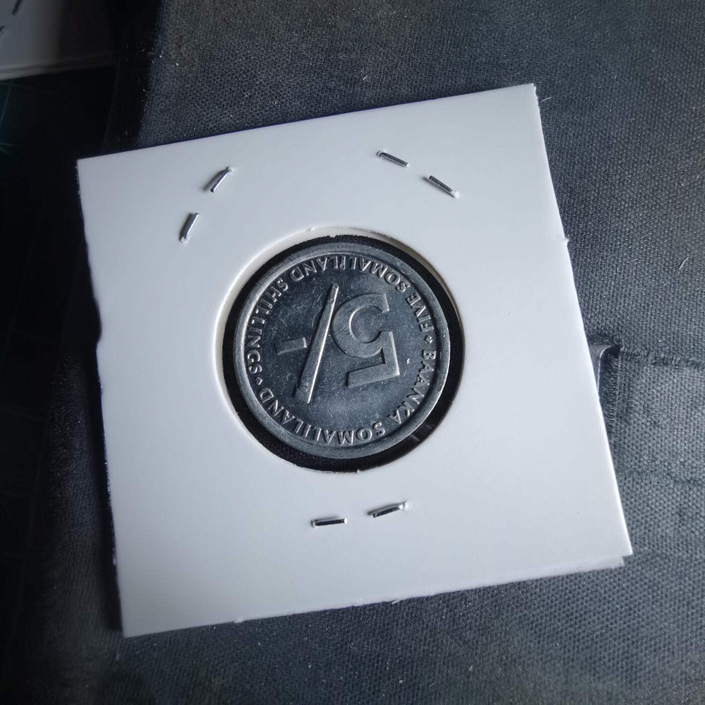 沼泽如烟--第980场