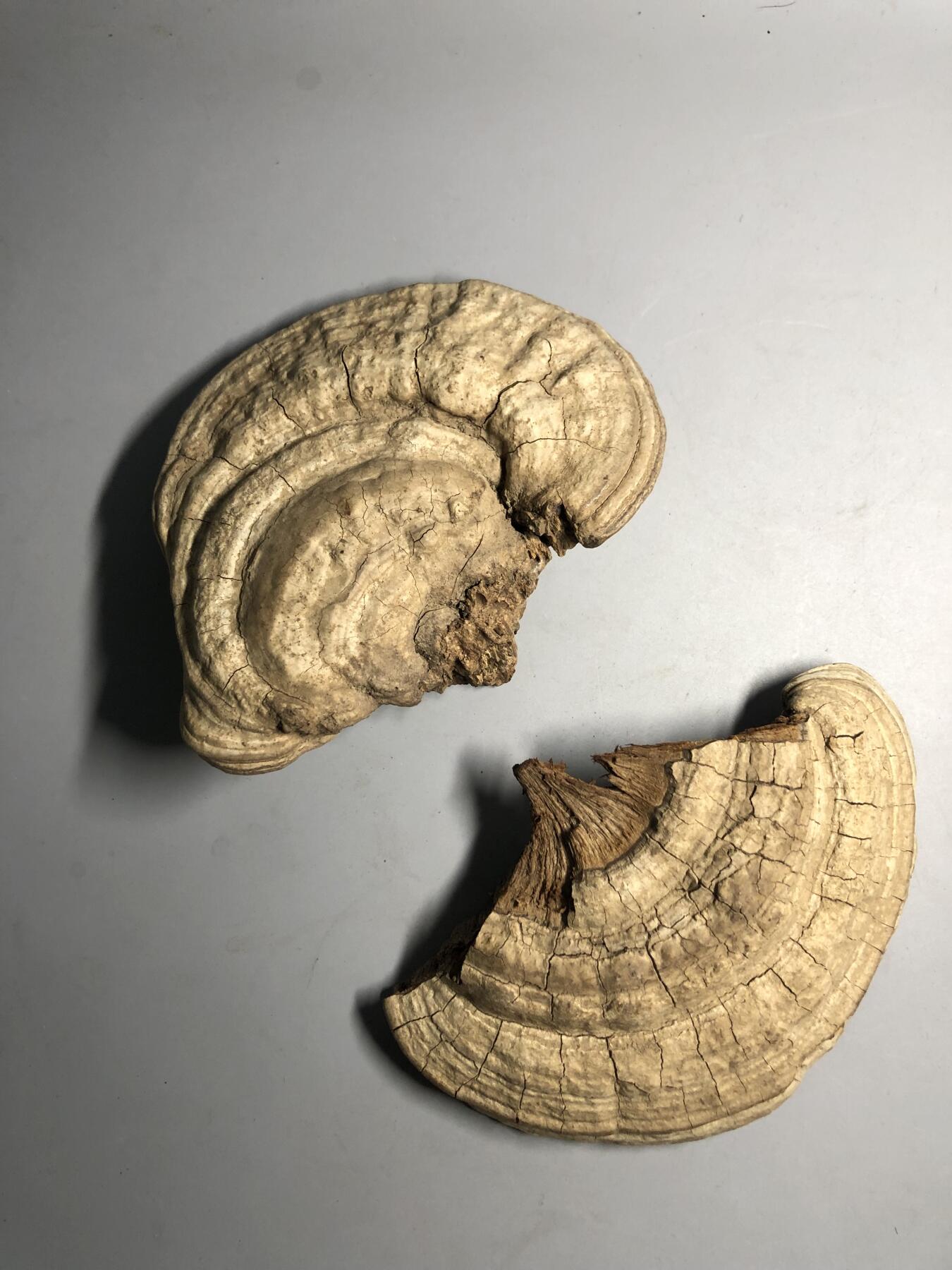 第五期杂项配饰拍卖 捡来的不只是啥