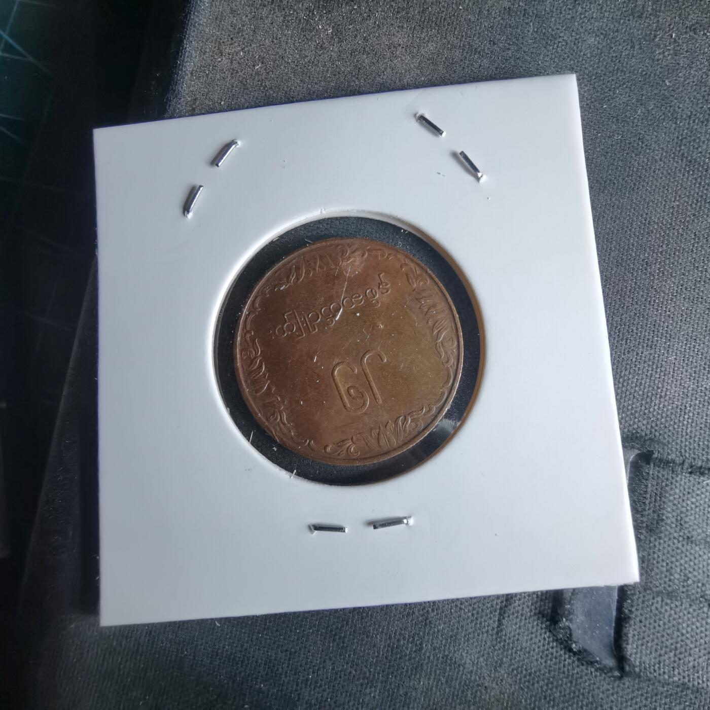 沼泽如烟--第980场