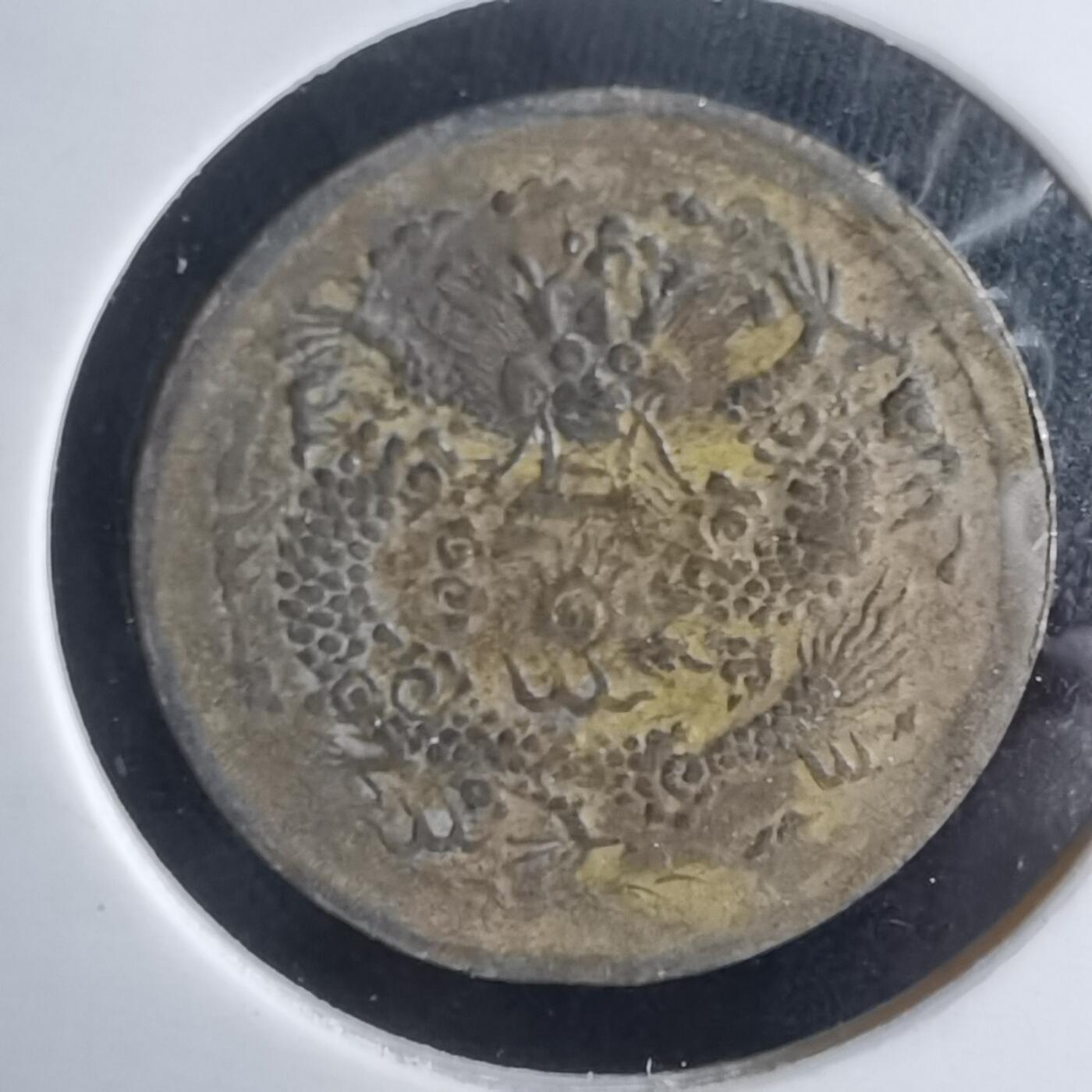 沼泽如烟--第980场